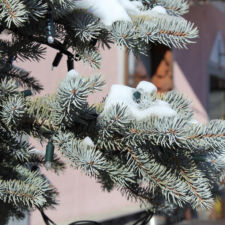 Garni Oasi Hotel Livigno Eksteriør billede
